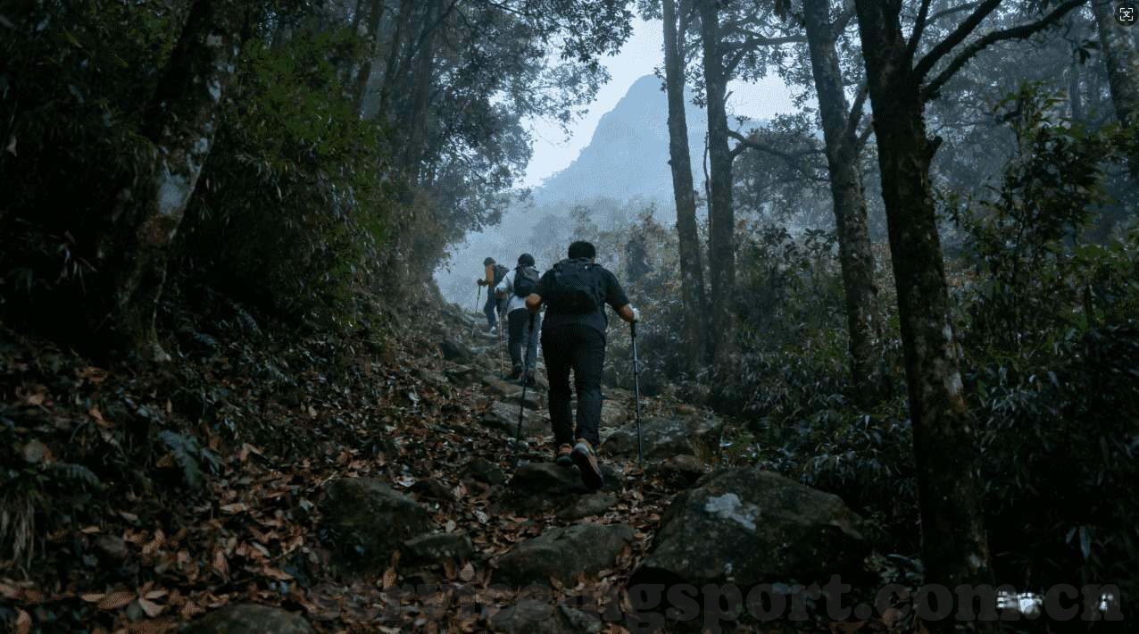 518大厅炸金花-518大厅炸金花，一场智慧与运气的较量